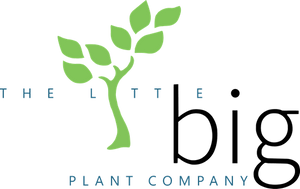The Little Big Plant Company Saskatoon